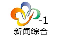 武汉新闻综合频道