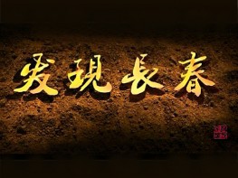 《发现长春》长春CTV-1每