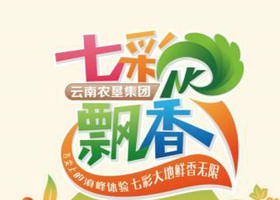 《七彩飘香》云南卫视周六21:20播出的滇菜特色节目