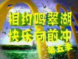 《快乐向前冲》宁夏影视频道每周日播出的全民