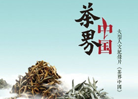 《茶界中国》江苏卫视每周5晚21：20播出的茶和茶人的纪录片
