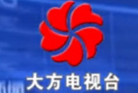 大方电视台台标