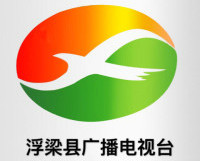 浮梁电视台台标