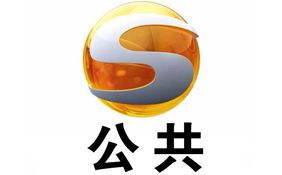 甘肃公共频道台标