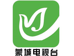 蒙城新闻频道台标