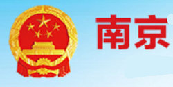 南京人民政府台标