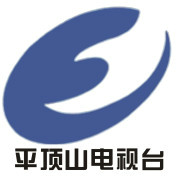 平顶山新闻综合频道台标