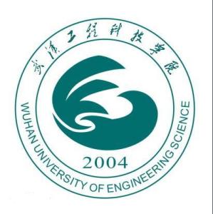 武汉工程科技学院