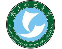 武汉科技大学